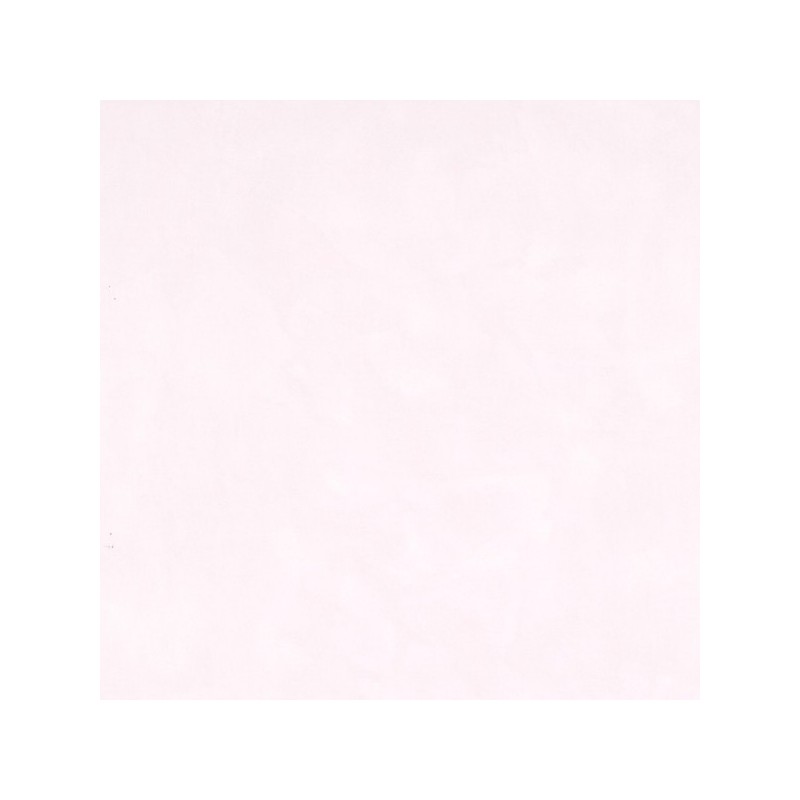 Papel Pintado Pilar Burguet 3400051