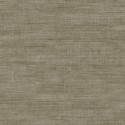 Curiosa Canvas 24521 Arte Papel Pintado