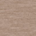Curiosa Canvas 24504 Arte Papel Pintado