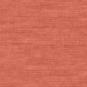 Curiosa Canvas 24507 Arte Papel Pintado