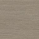 Curiosa Marsh 31509 Arte Papel Pintado
