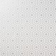 Papel pintado PDC Legends B20946