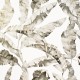 Papel pintado PDC Legends B21039