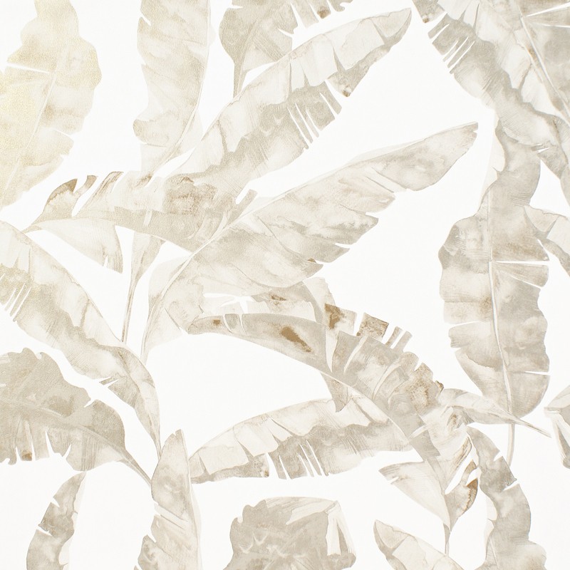 Papel pintado PDC Legends B21035