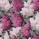 Papel pintado Cole & Son Botanical Botanica Lilac Grandiflora 15045