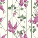 Papel pintado Cole & Son Botanical Botanica Wisteria 115-5013