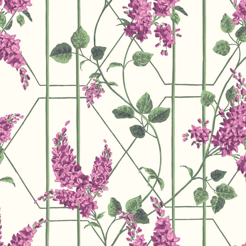 Papel pintado Cole & Son Botanical Botanica Wisteria 115-5013