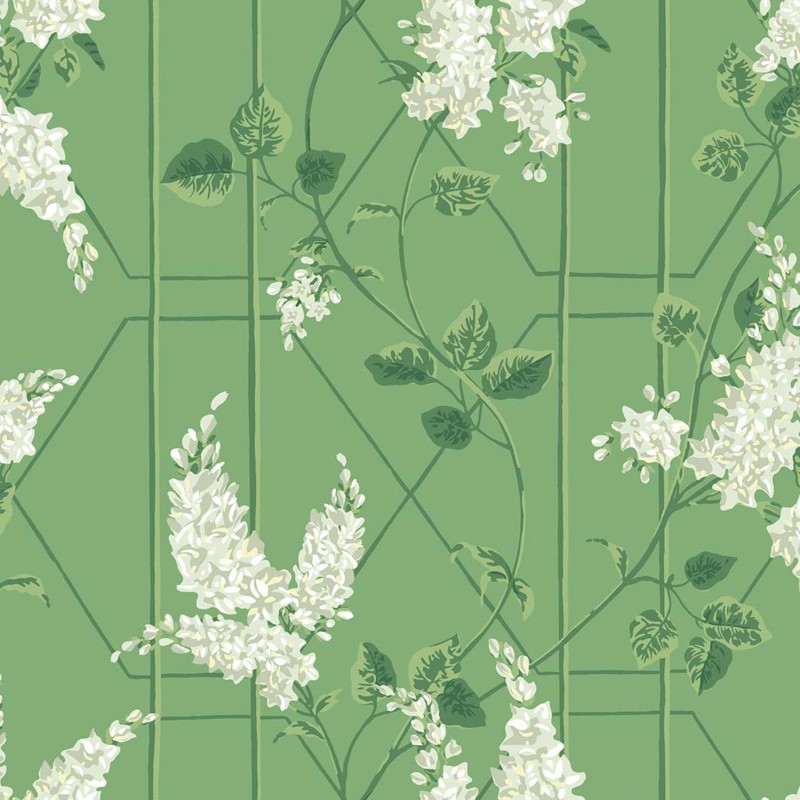 Papel pintado Cole & Son Botanical Botanica Wisteria 115-5016
