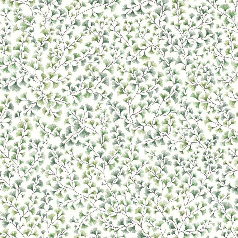 Papel pintado Cole & Son Botanical Botanica Maidenhair 115-6018