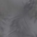 Dimensions 219552 Papel pintado BN Walls