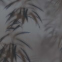Dimensions 219545 Papel pintado BN Walls