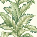 Maui Maui Big Leaf TP81204 Wallquest Papel pintado
