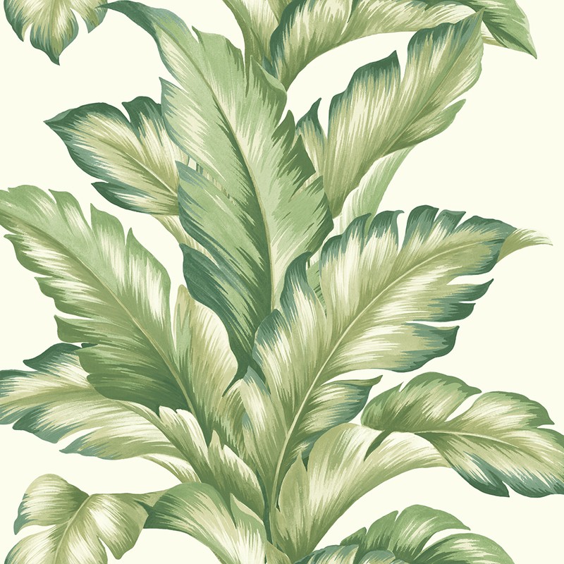 Papel pintado Wallquest Maui Maui Big Leaf TP81204