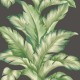 Papel pintado Wallquest Maui Maui Big Leaf TP81200