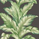 Maui Maui Big Leaf TP81200 Wallquest Papel pintado