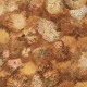 Papel pintado BN Wallcoverings Van Gogh 2 220003 a