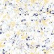 Papel pintado Coordonné Mallorca Salines 8400080