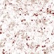 Papel pintado Coordonné Mallorca Salines 8400082 a