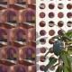 Papel pintado Coordonné Mallorca Soller 8400044 a