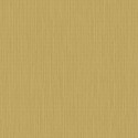 Exotique Meru 17209 Hookedonwalls