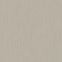 Exotique Meru 17208 Hookedonwalls