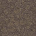Encyclopedia II ENCC 8451 55 45 Fossilium Papel pintado