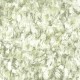 Papel pintado Casadeco Encyclopedia II Quartz ENCC84577117