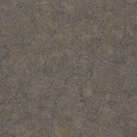 Encyclopedia II ENCC 8451 95 95 Fossilium Papel pintado