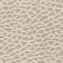 Encyclopedia II ENCC 8452 12 42 Squamae Papel pintado