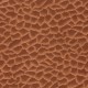 Papel pintado Casadeco Encyclopedia II Squamae ENCC84528328 a