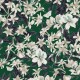 Papel pintado Khroma Kent Malva KEN207 a