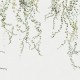 Mural Sandberg Arboretum Aralia 640-04 a