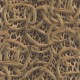 Papel pintado Roberto Cavalli Home nº 7 RC18015 a
