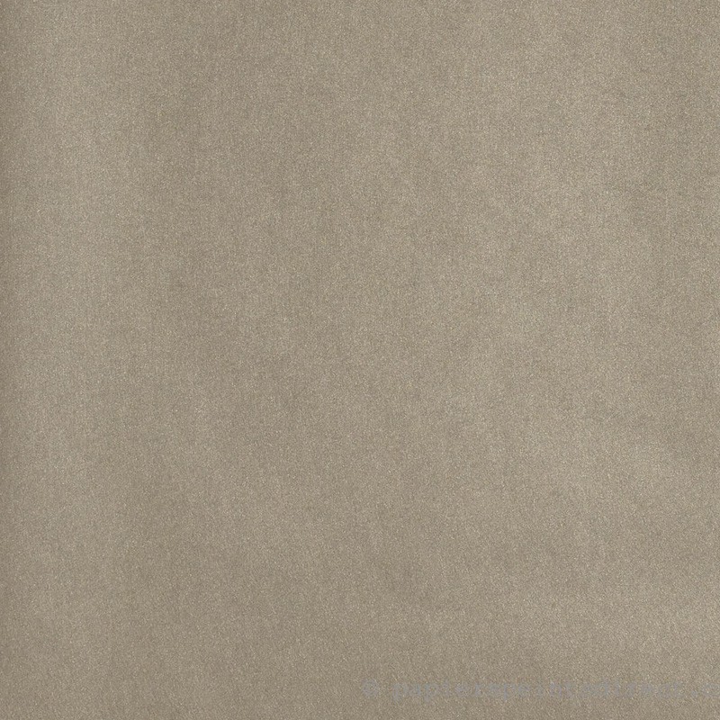Papel pintado Casadeco Helsinki Uni HELS16401307